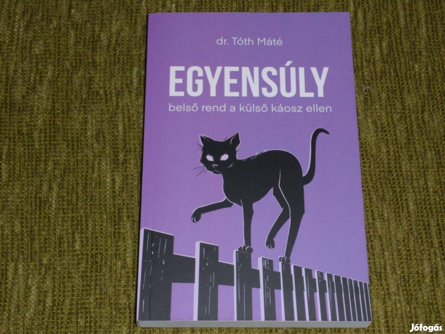 Dr. Tóth Máté: Egyensúly - belső rend a külső káosz ellen