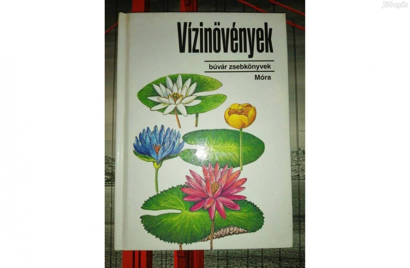 Dr. Tuba Zoltán, Bíró Krisztina: Vízinövények (Búvár zsebkönyvek)