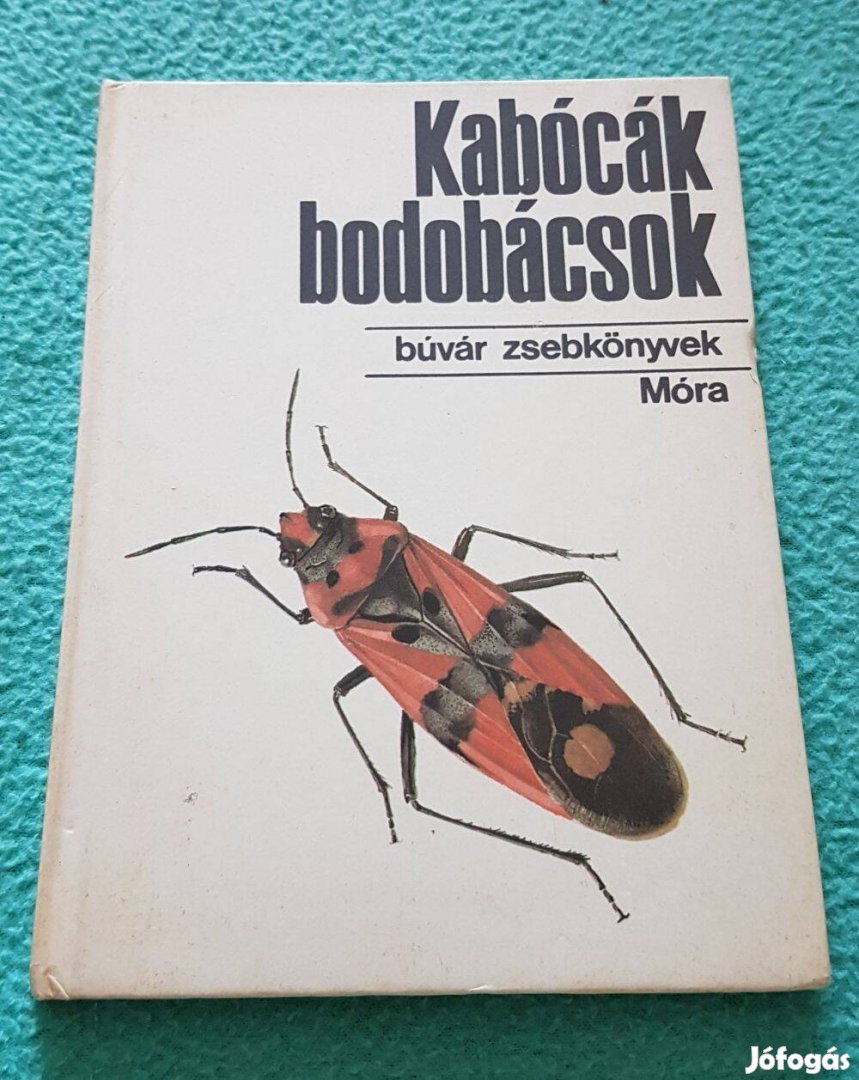 Dr. Vásárhelyi Tamás - Kabócák, bodobácsok könyv