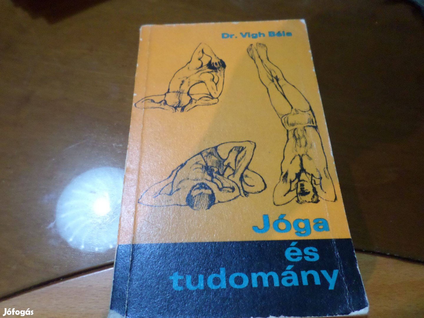 Dr. Vigh Béla Joga és tudomány Antik! 1972 Szakkönyv