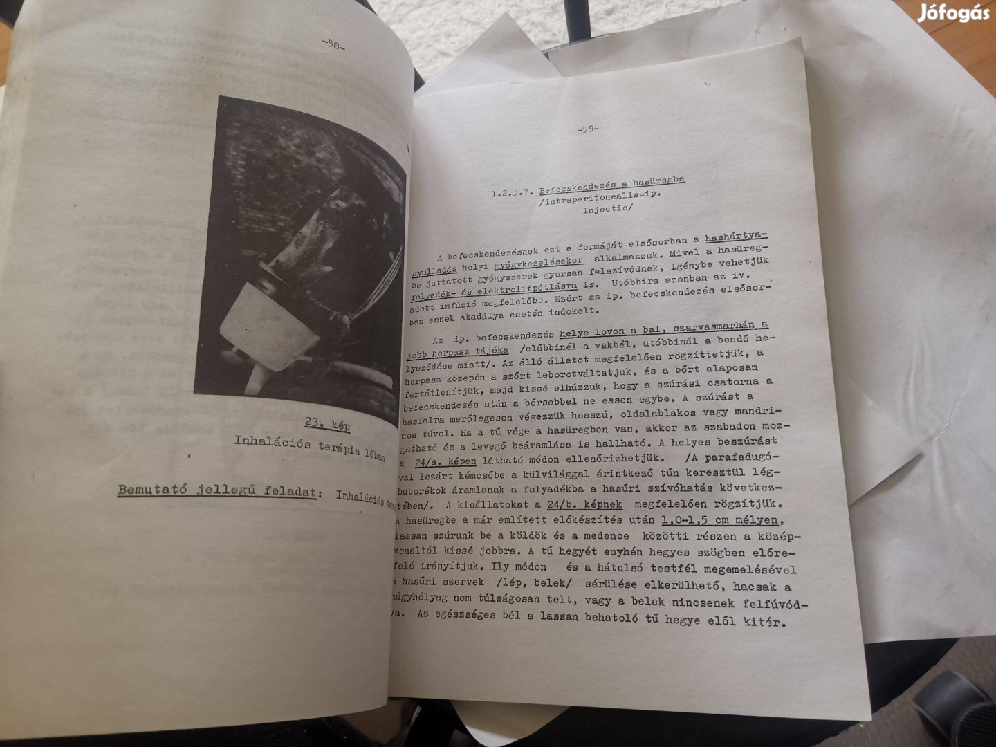 Dr. Vörös Károly - Állatorvosi belgyógyászati terápiás és diagnosztik