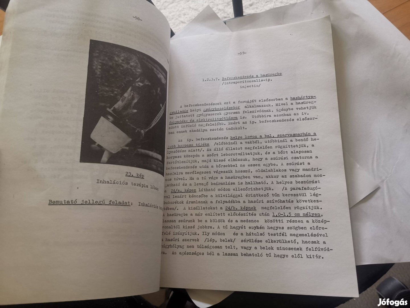 Dr. Vörös Károly - Állatorvosi belgyógyászati terápiás és diagnosztika