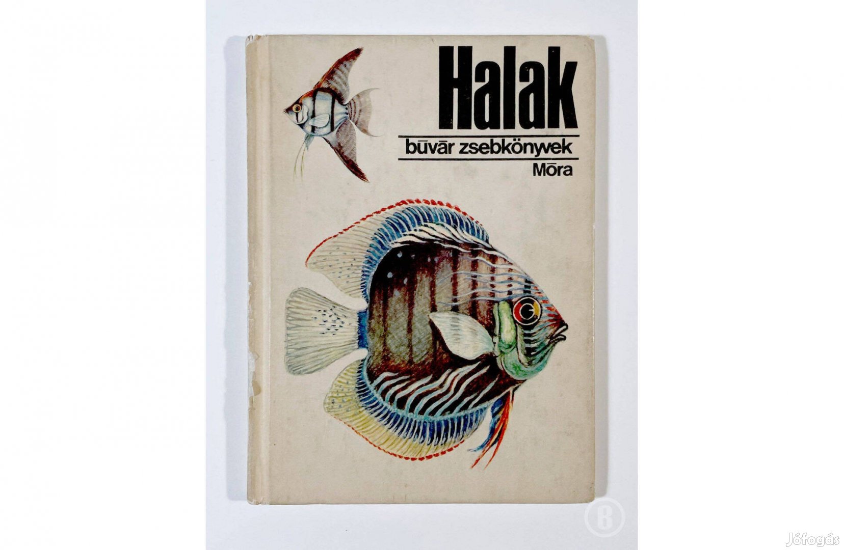 Dr. Wiesinger Márton: Halak