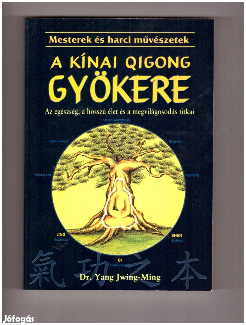 Dr. Yang Jwing-Ming: A kínai Qigong gyökere könyv