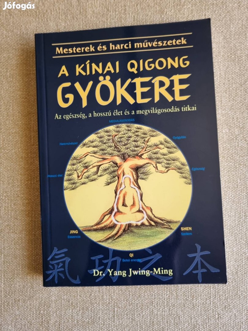 Dr. Yang Jwing-Ming, A kínai qigong gyökere 