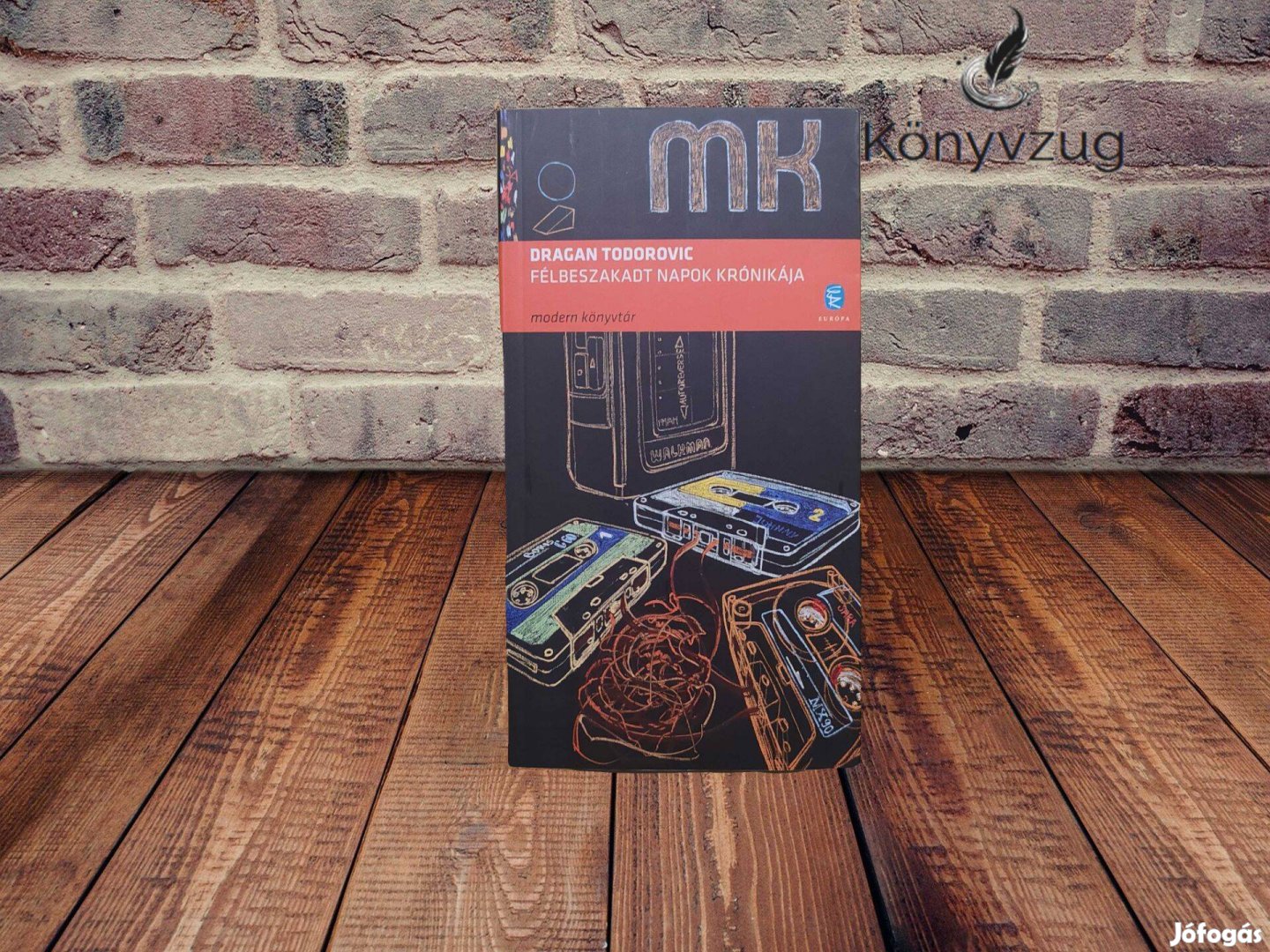 Dragan Todorovic - Félbeszakadt napok krónikája