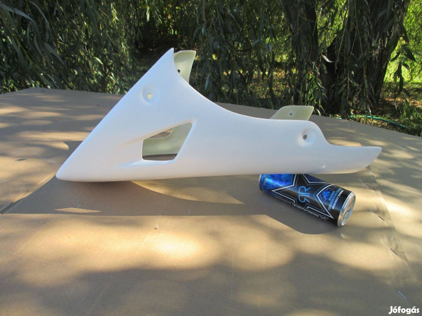 Ducati Monster hasidom