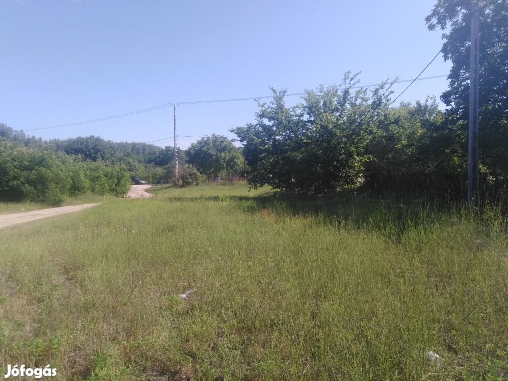 Dunaharaszti, ÁRNYAS utca, 1153 m2-es, telek
