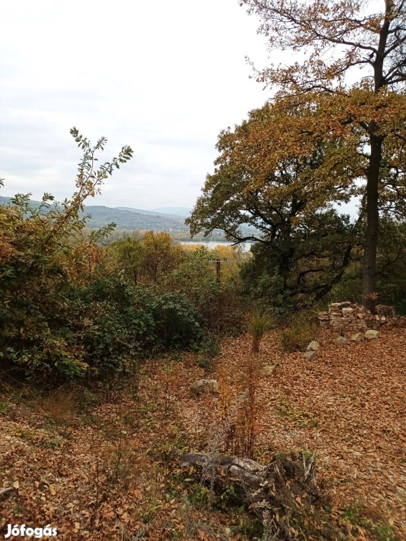 Dunai panorámás építési telek