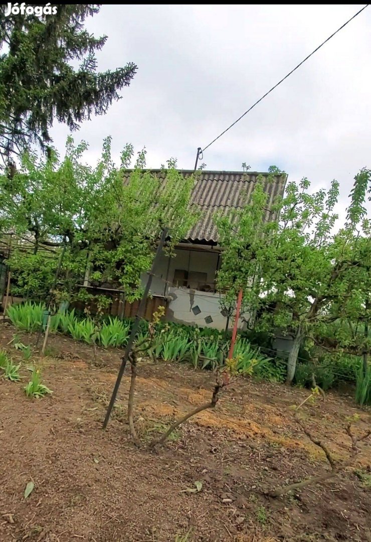 Dunaújváros nyaraló eladó