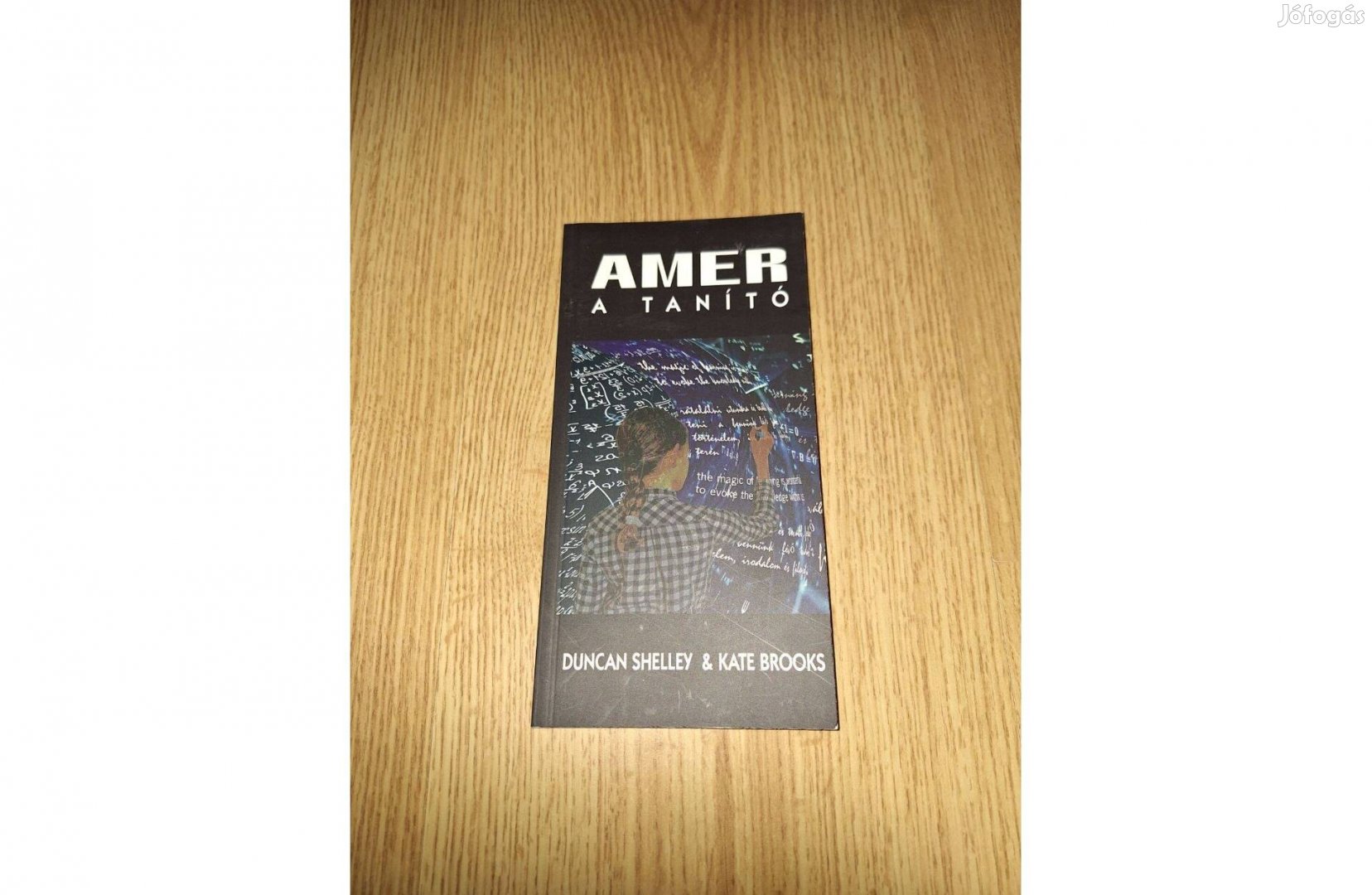 Duncan Shelley - Kate Brooks: Amer, a tanító