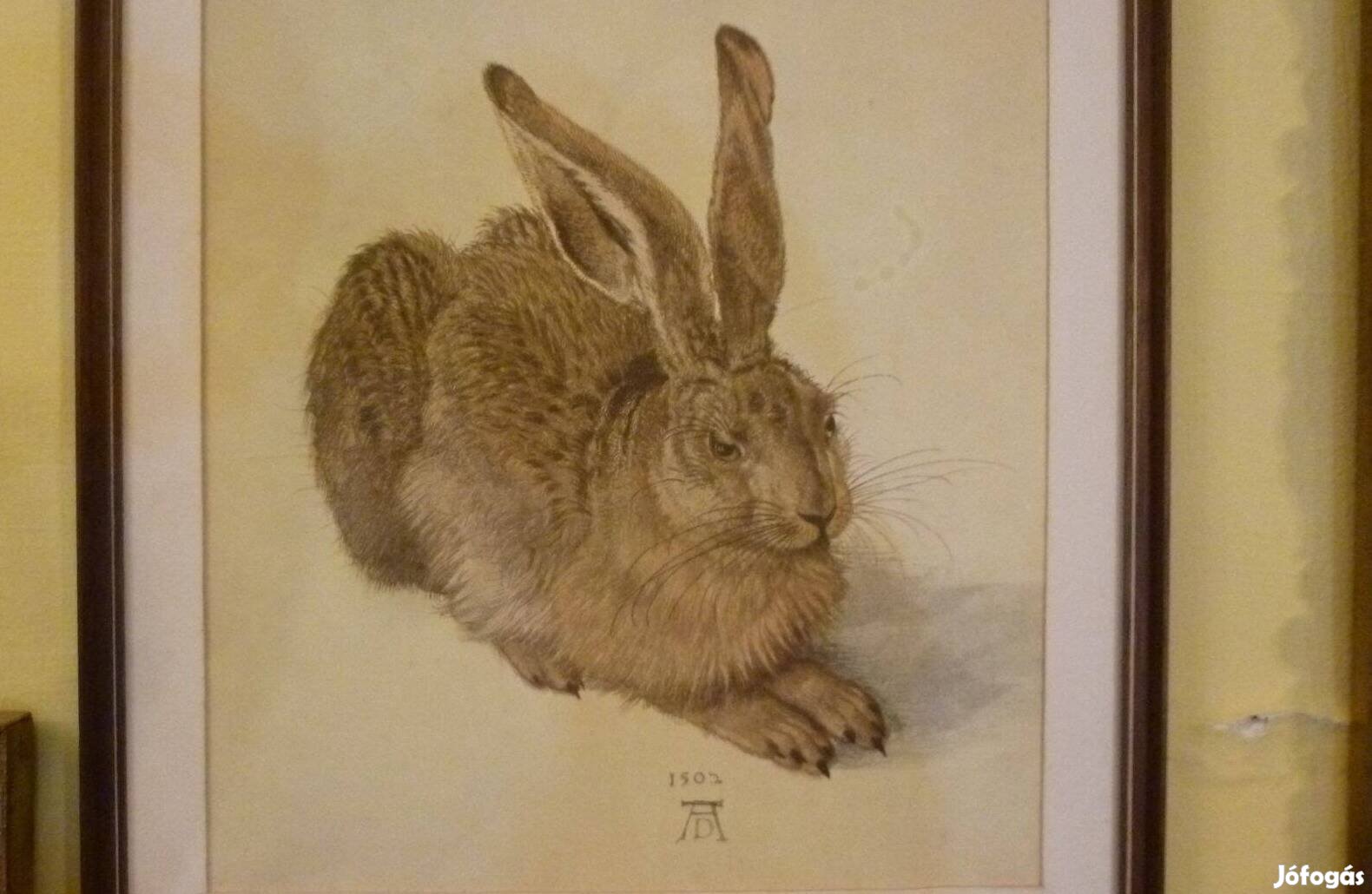 Dürer "Feldhase" mester nyomat