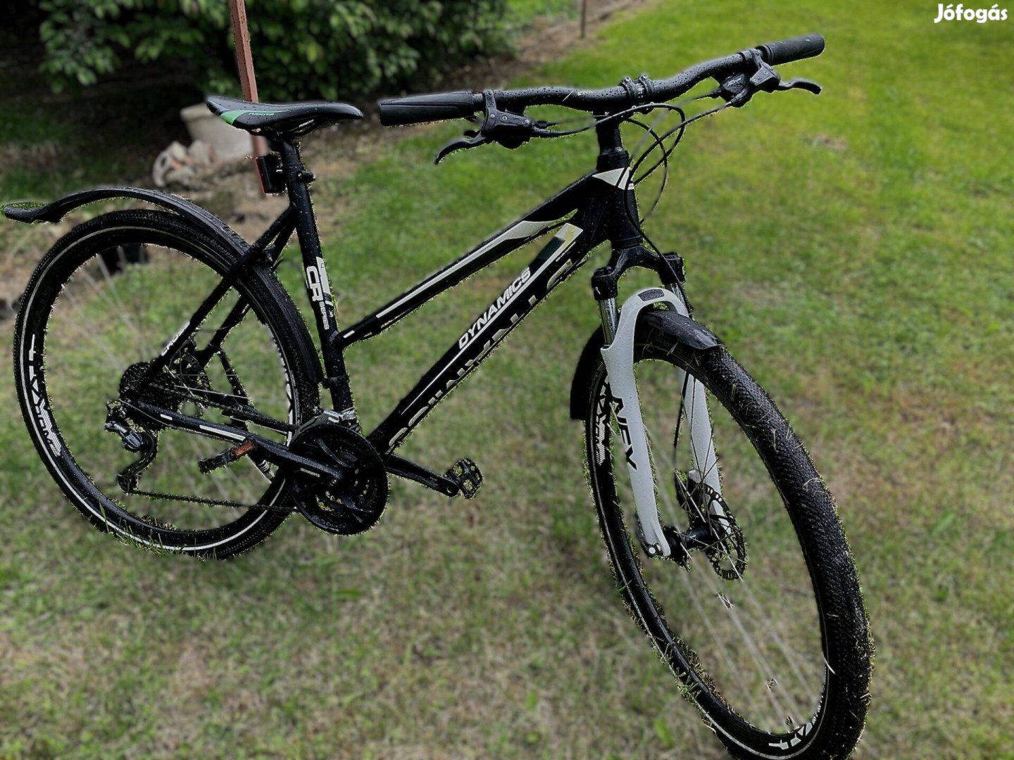 Dynamics Gravity Mountainbike Hardtail 29" - BW - Formula DC20Fqr