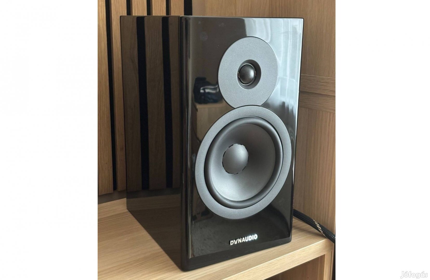 Dynaudio evoke 20