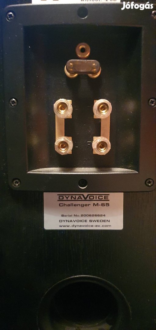 Dynavoice Challenger M65  álló hangfalak eladók.