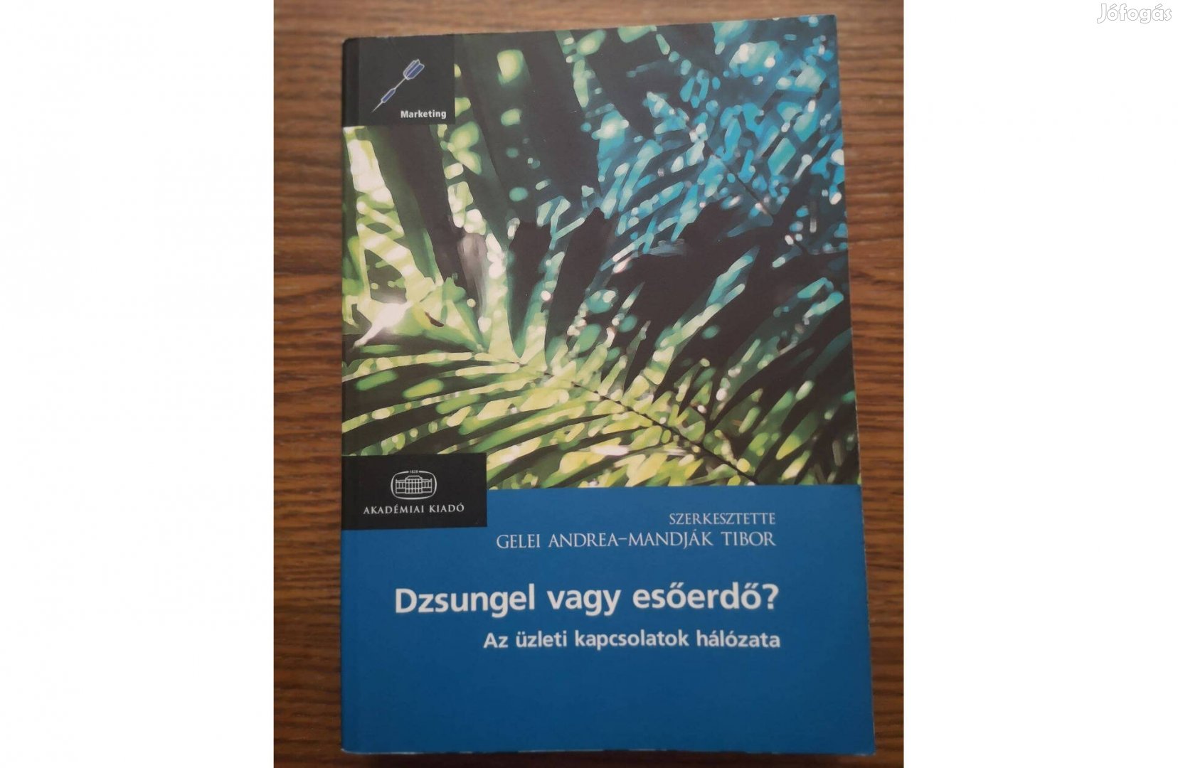 Dzsungel vagy esőerdő? - B2B marketing