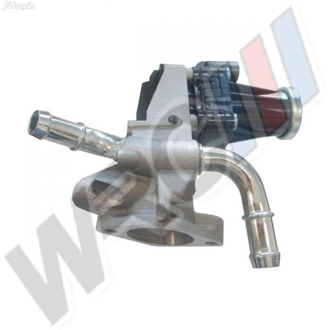 EGR Szelep Citroen Jumper 9800555380