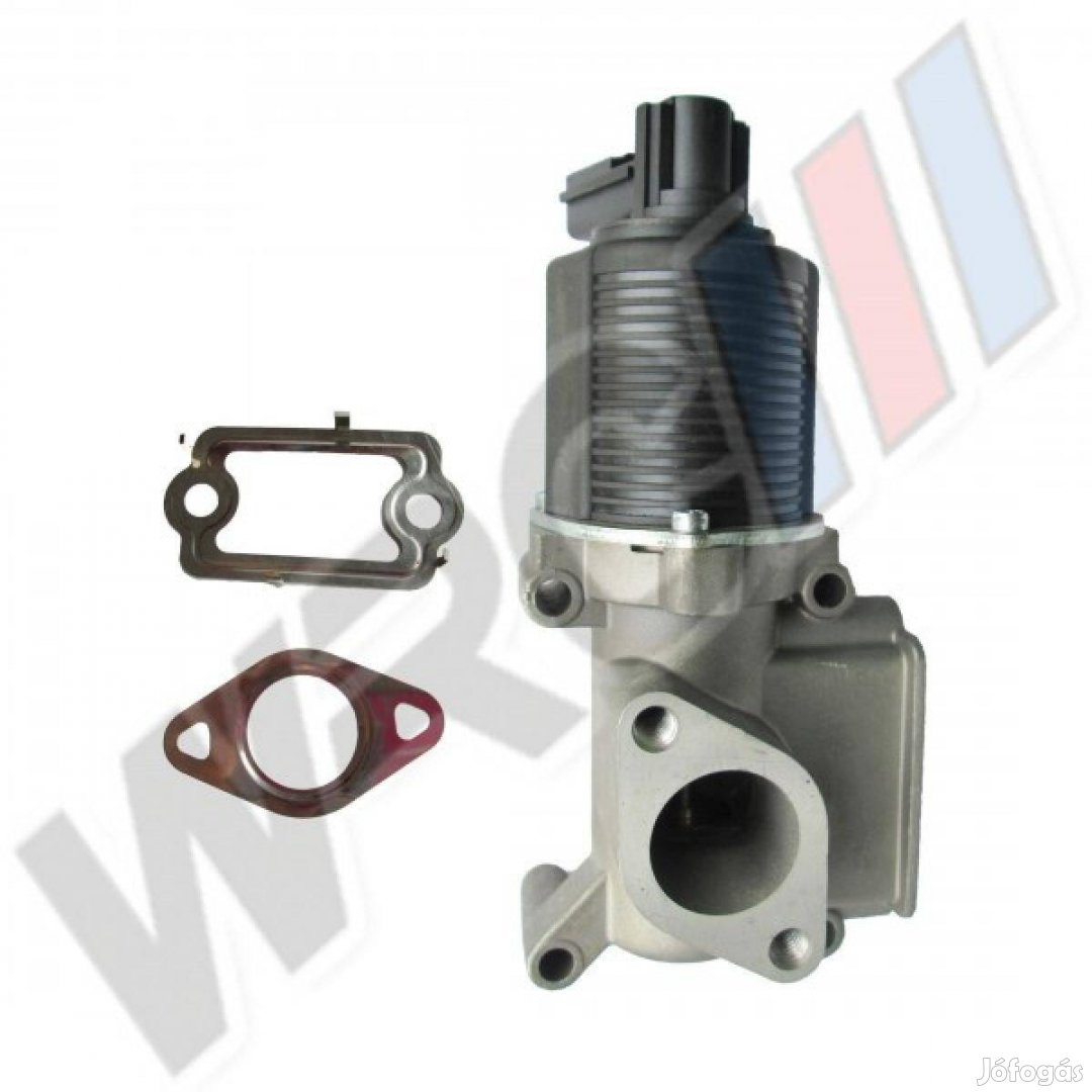 EGR Szelep Fiat Doblo,Palio,Punto,Siena,Strada 46535796
