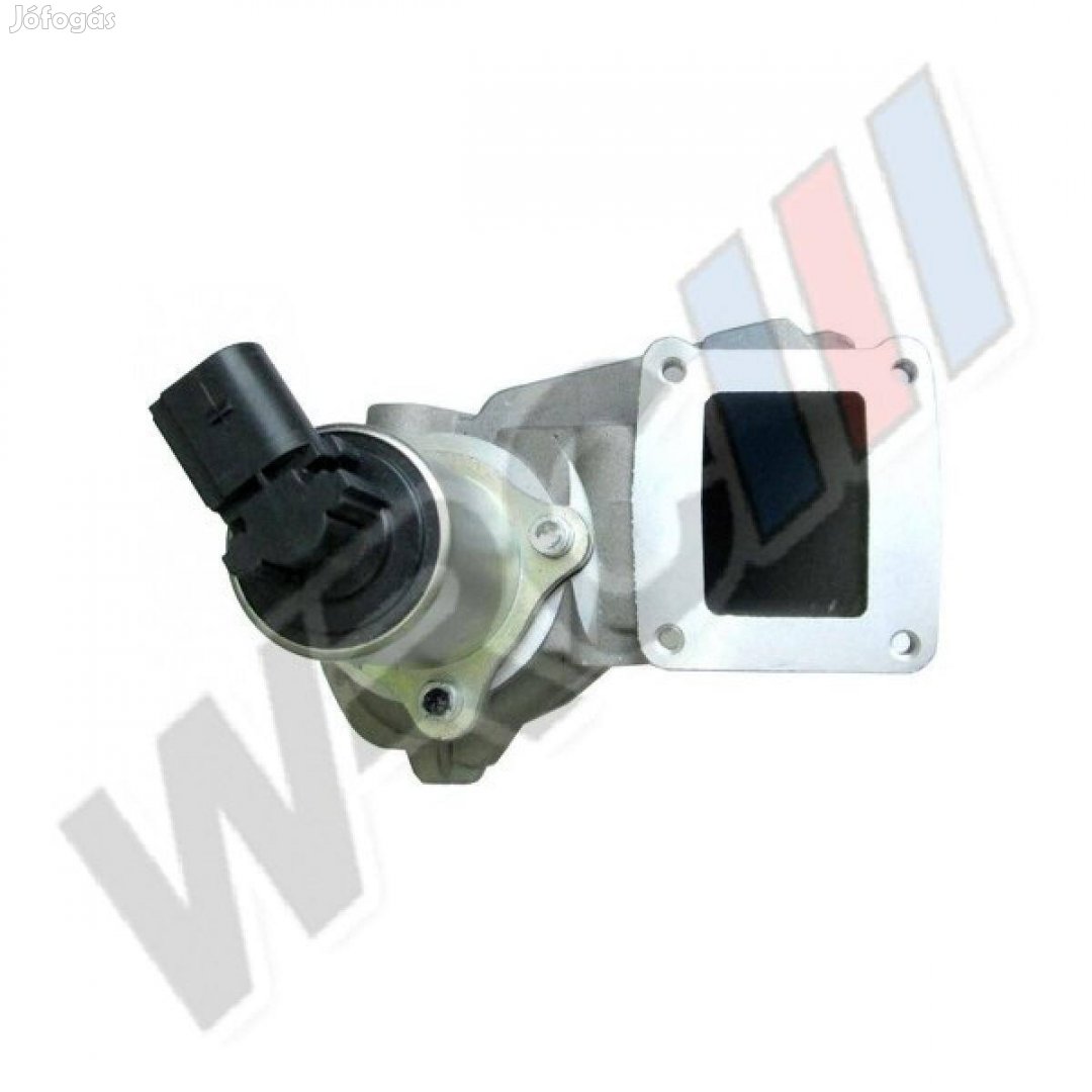 EGR Szelep Renault Scenic,Laguna,Megane 8200542999