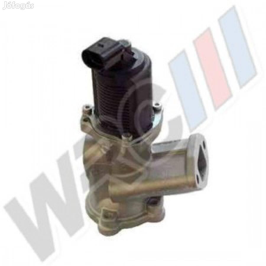 EGR szelep Lancia Musa 1.3D Multijet 55206931