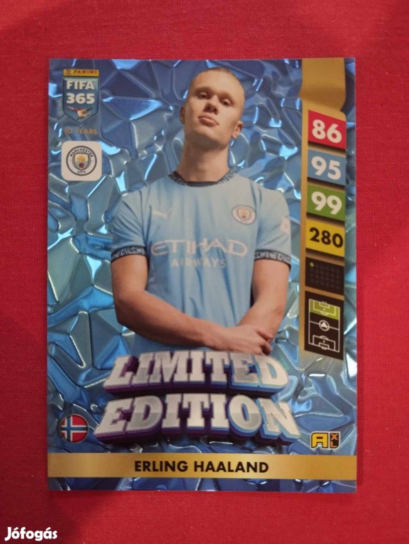 E Haaland (Manchester City) FIFA 365 2025 Limited Edition focis kártya