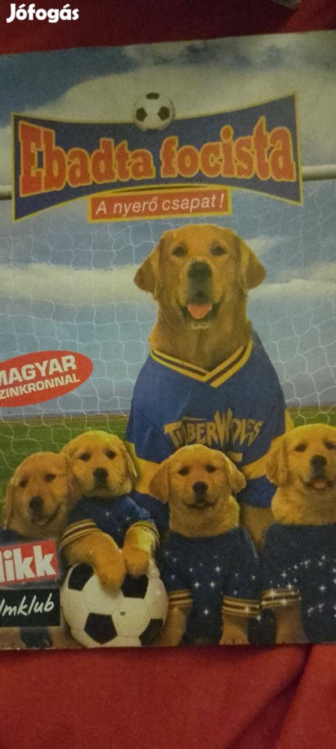 Ebadta focista DVD film eladó