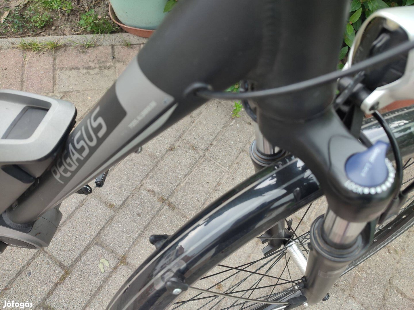 Ebike, Pegasus e-bike, Bosch elektromos kerékpár, pedelec