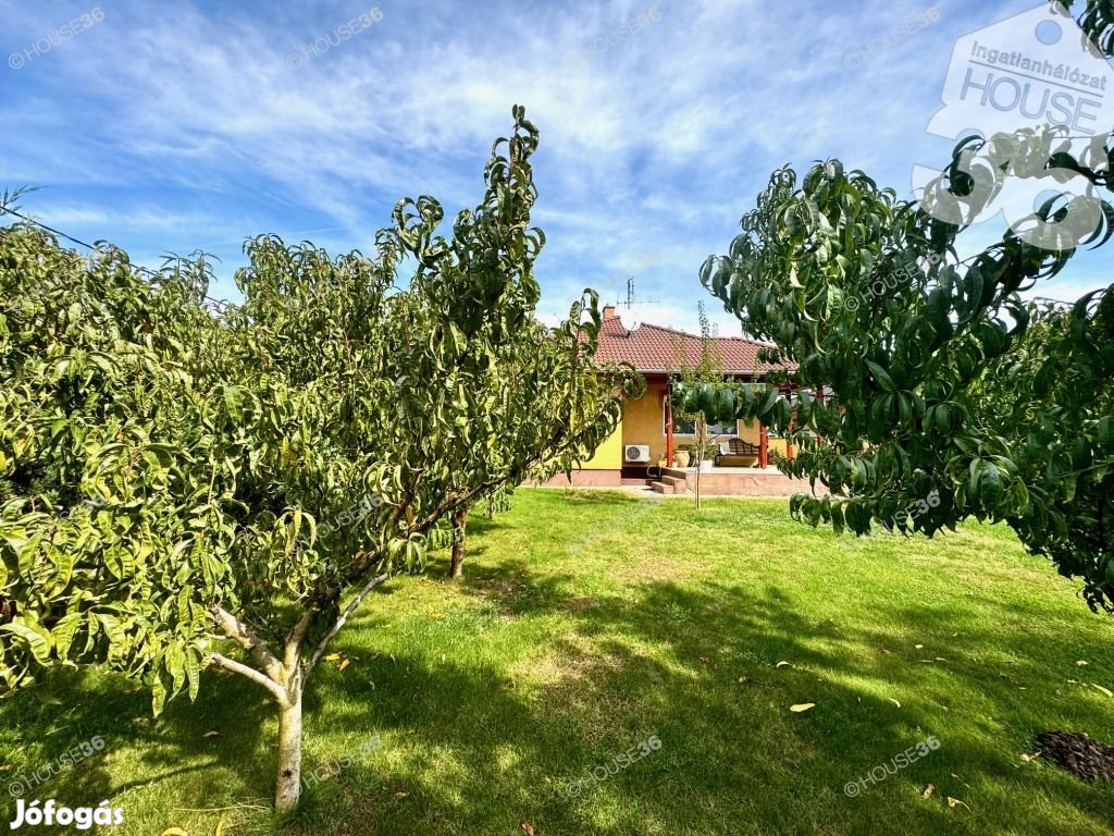 Ébredjen madárcsicsergésre minden nap!