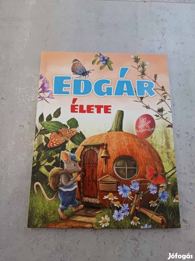 Edgár élete mesekönyv