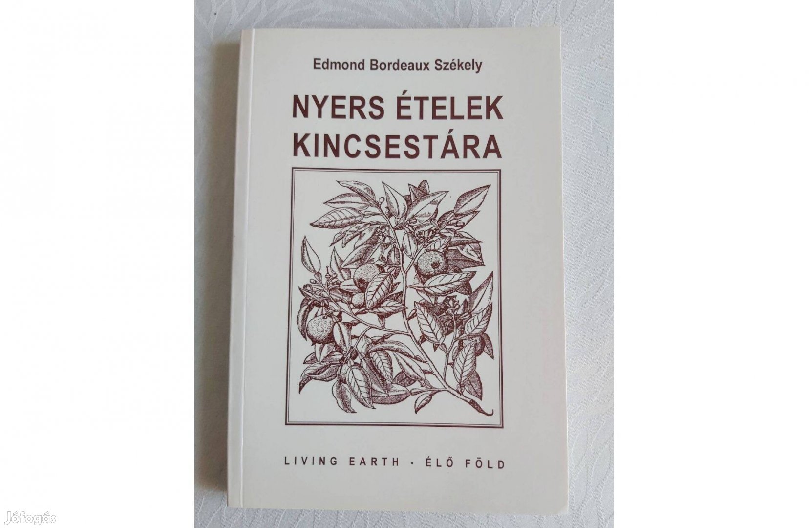 Edmond Bordeaux Székely: Nyers ételek kincsestára