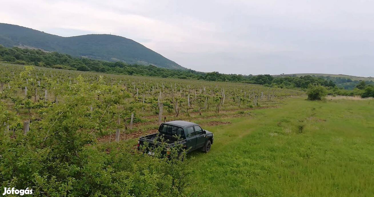 Eger Felsőtárkány határában mezőgazdasági terület, szántó, 49910 m2