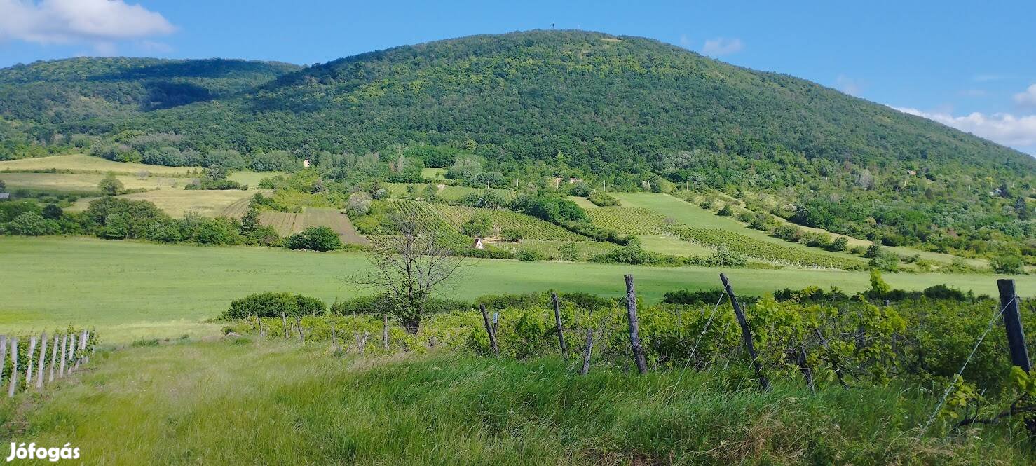 Egerben az Egednel 10 ha eladó!