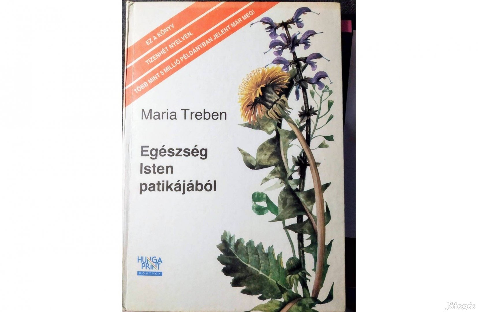 Egészség Isten patikájából Maria Treben