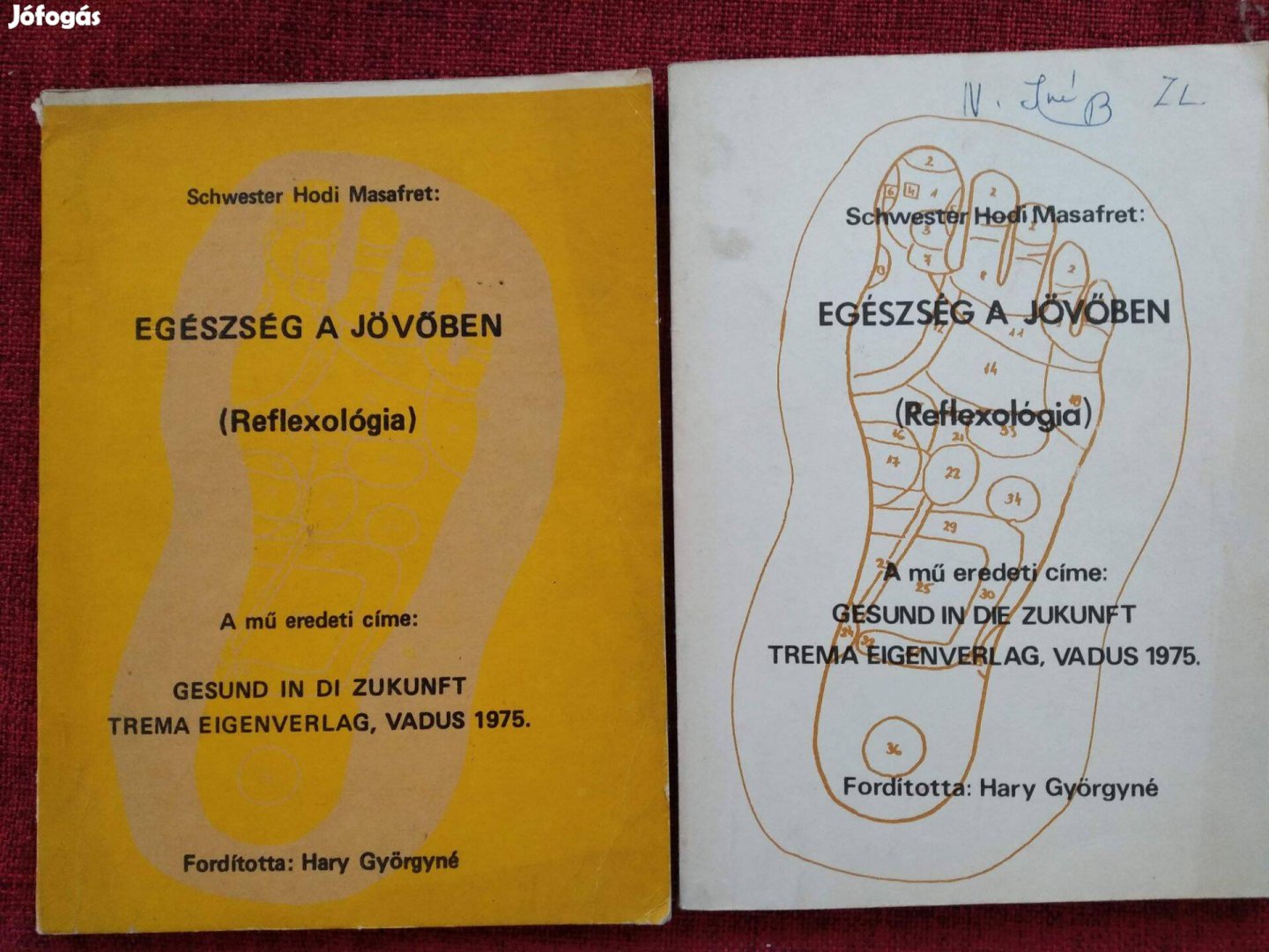 Egészség a jövőben-Reflexológia S. Hodi Masafret