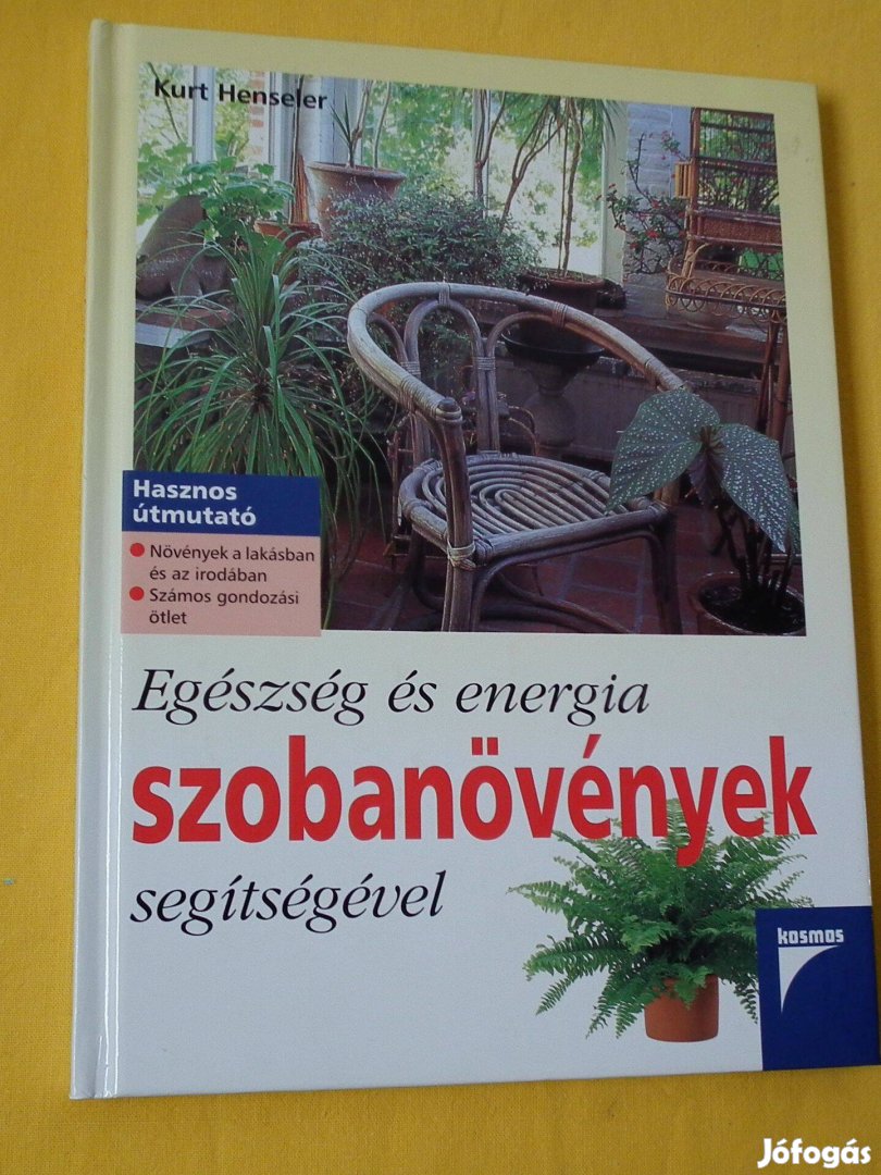Egészség és energia szobanövények segítségével