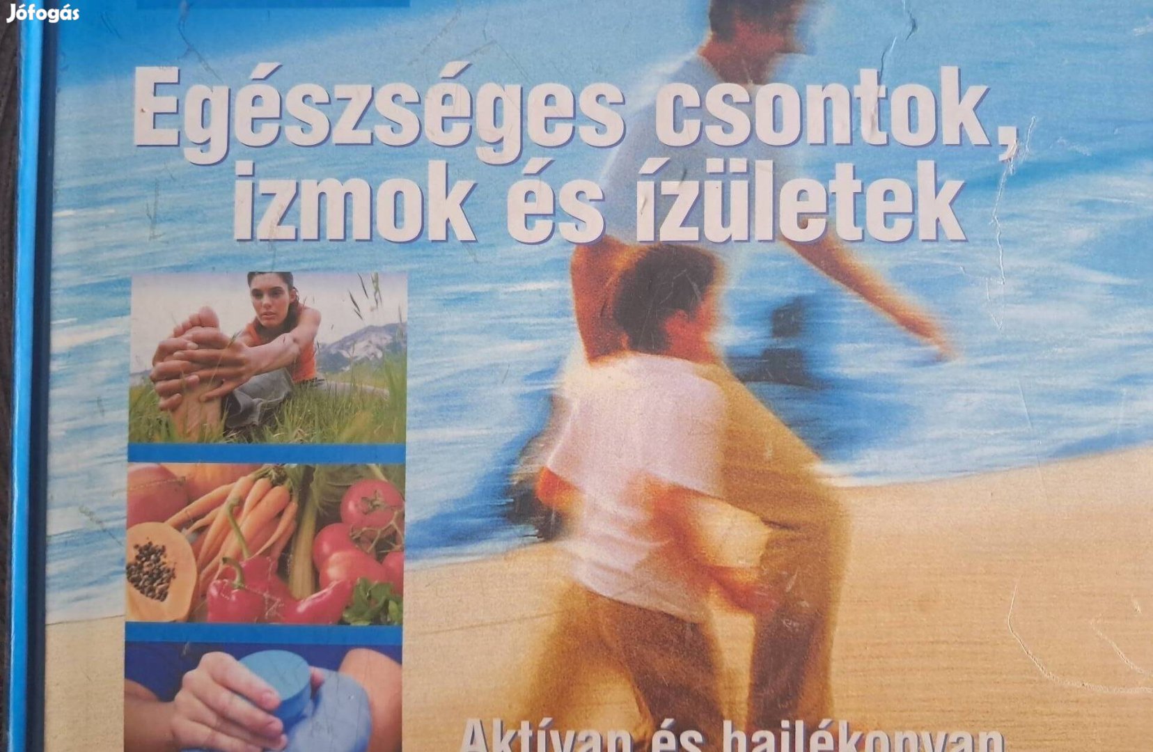Egészséges Csontok És Izületek