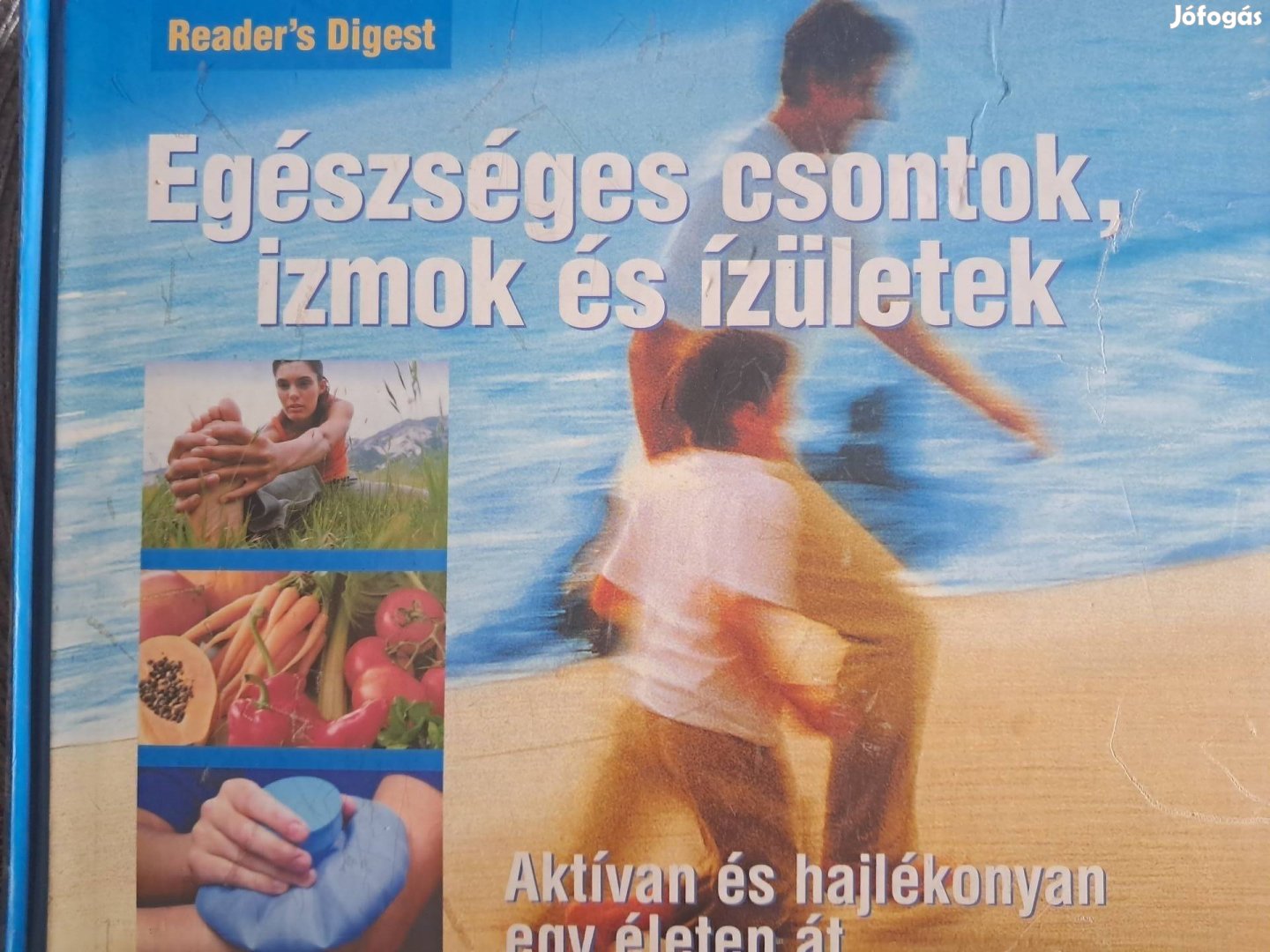 Egészséges Csontok És Izületek 