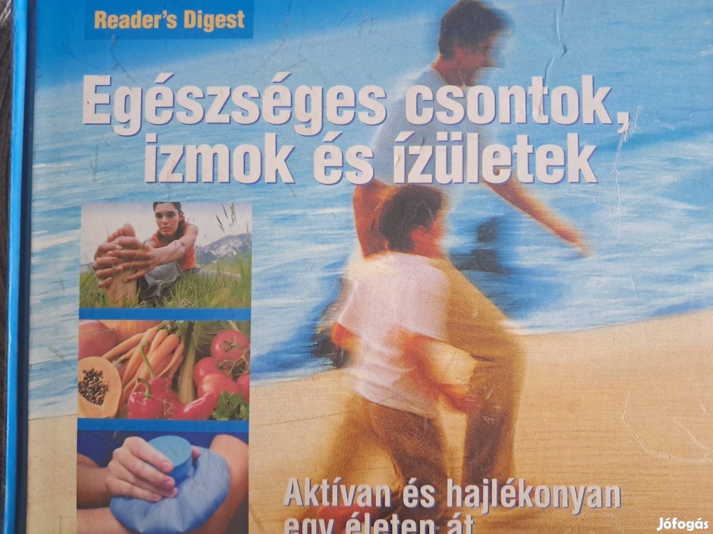 Egészséges Csontok És Izületek 