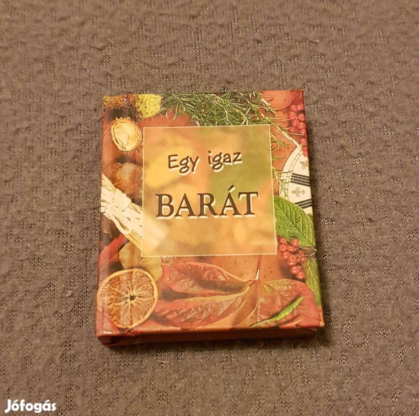 Egy igaz barát (idézetek) minikönyv