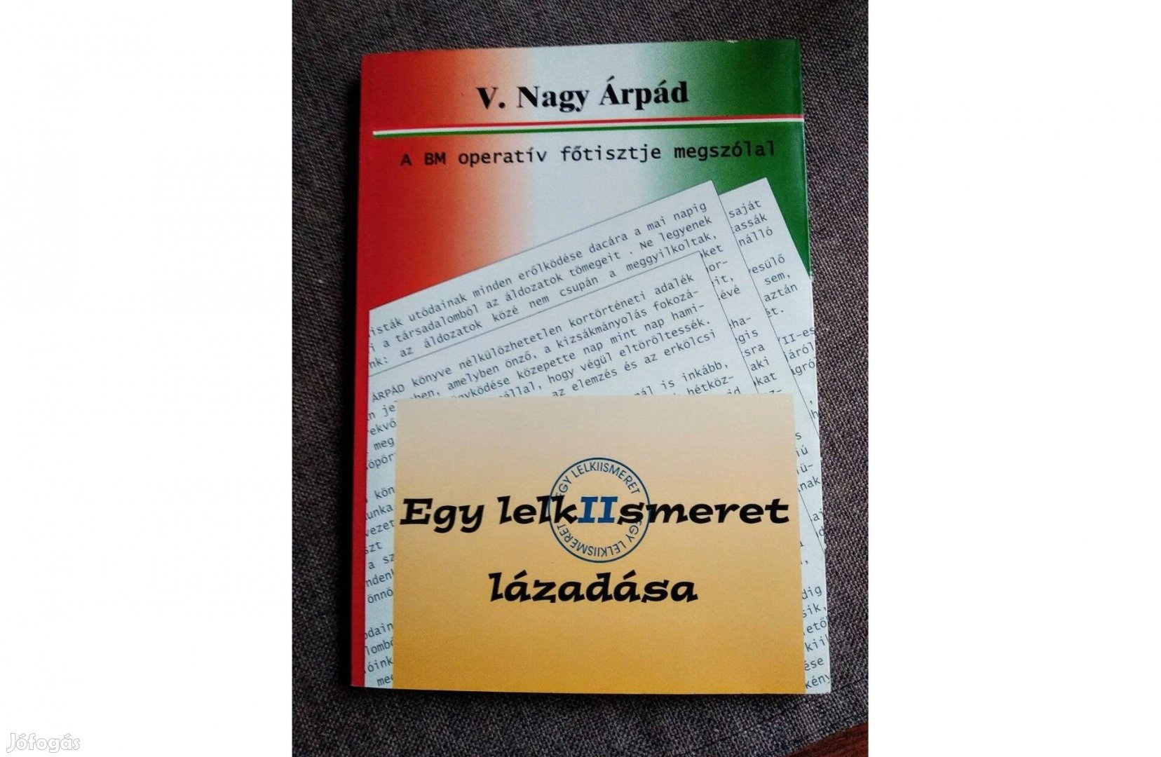 Egy lelkiismeret lázadása - A BM operatív főtisztje megszólal