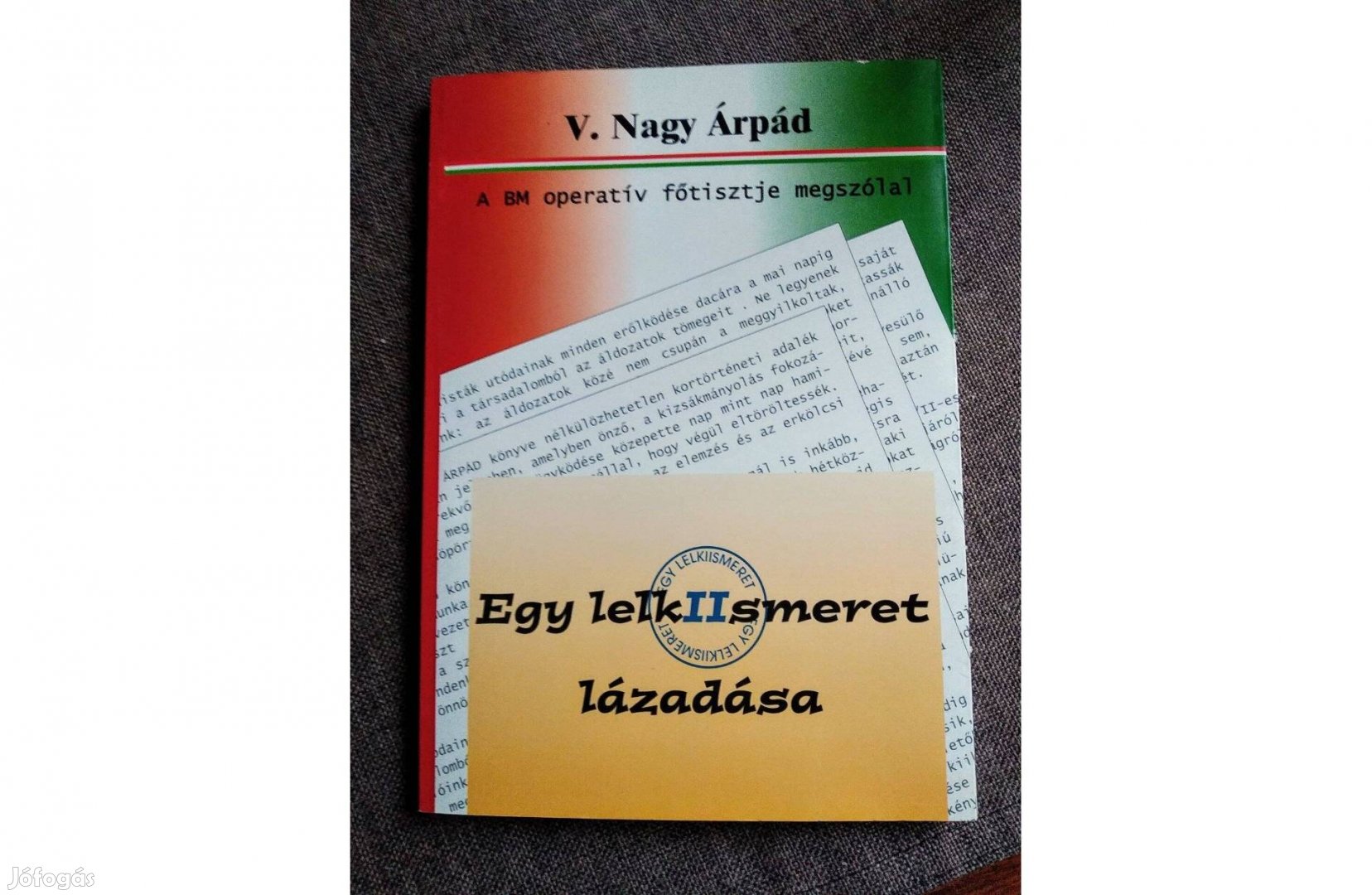 Egy lelkiismeret lázadása - A BM operatív főtisztje megszólal V. Nagy