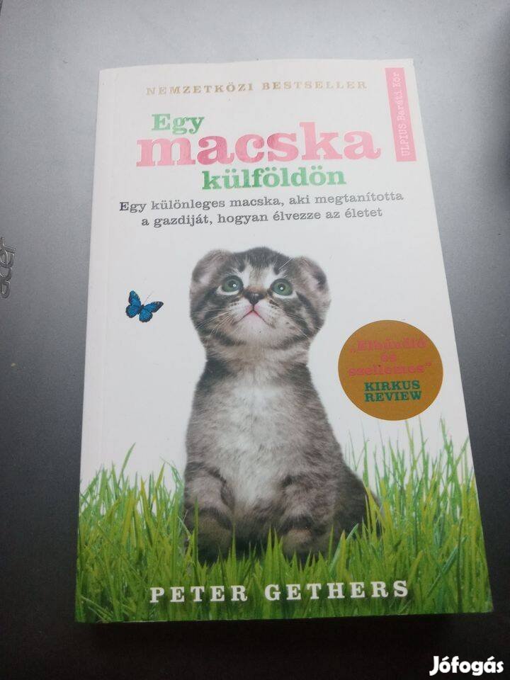 Egy macska külföldön új könyv