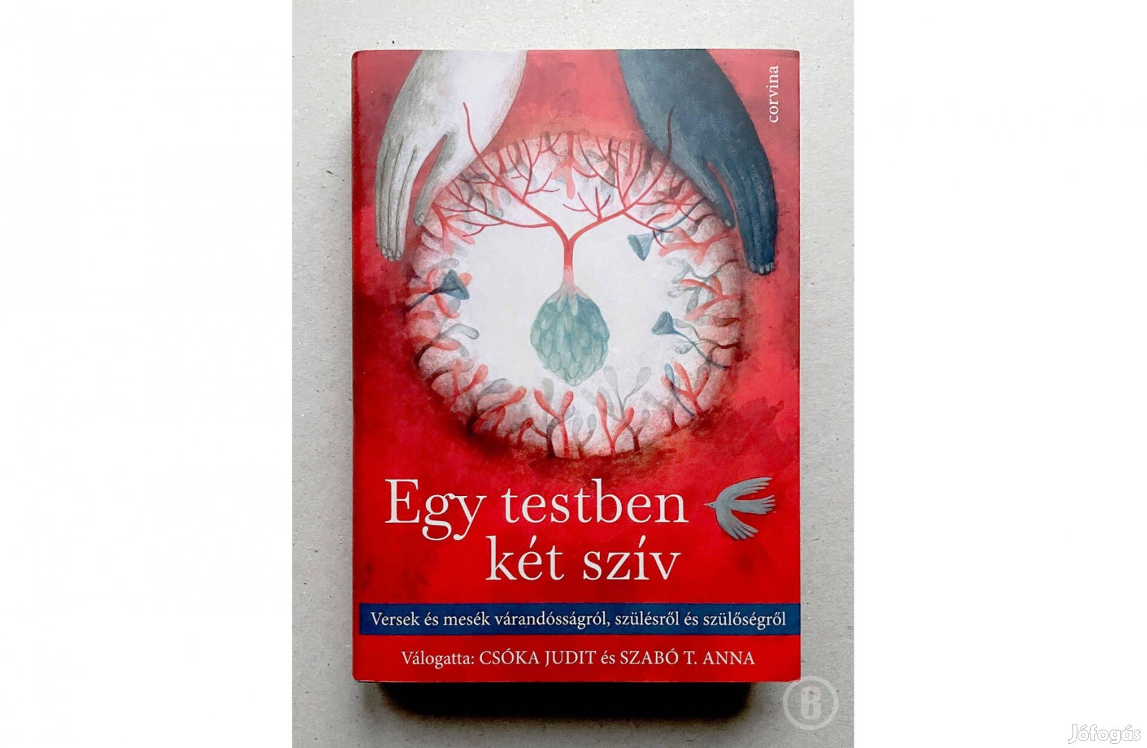 Egy testben két szív /szerk.: Csóka Judit és Szabó T. Anna