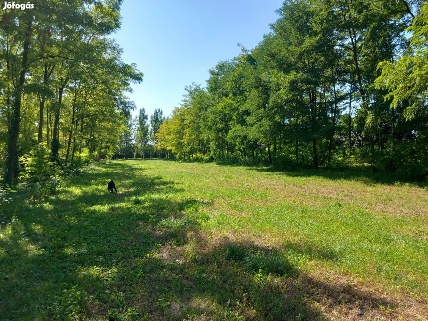 Egyedi lehetőség, 4421m2 nagyságú telek