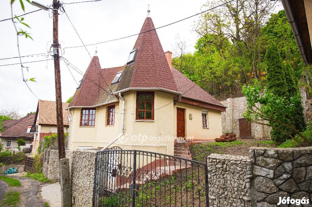 Egyedi stílusú családi ház Miskolc belváros közelében