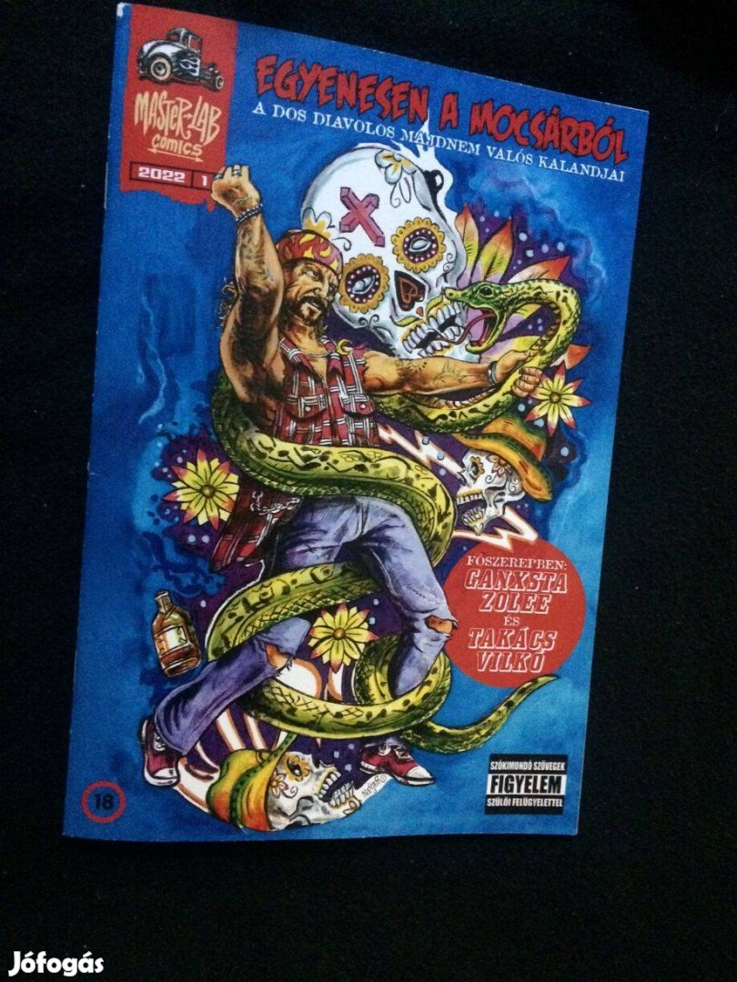 Egyenesen a mocsárból - Ganxsta Zolee és zenekarai képregény