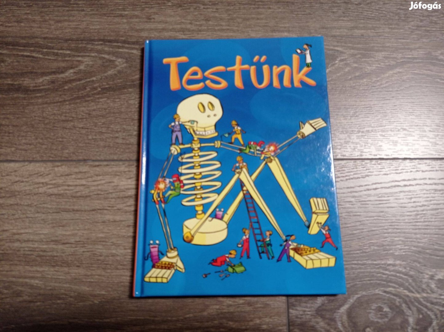 Egyszer olvasott, hibátlan, újszerű könyv - Testünk c