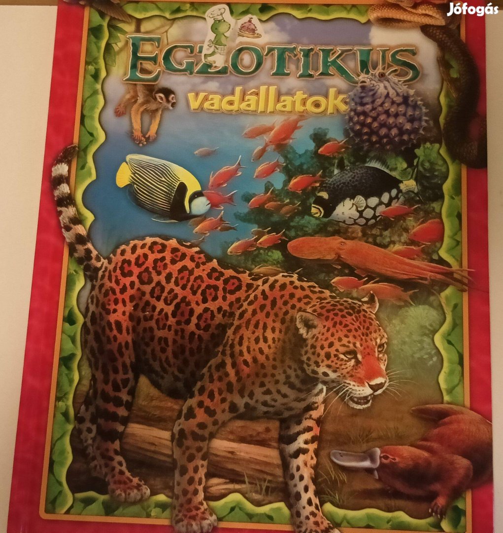 Egzotikus vadállatok