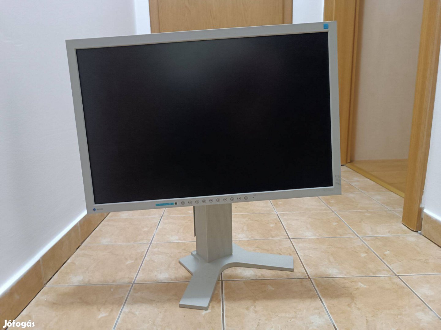 Eizo Flexscan 2202W monitor