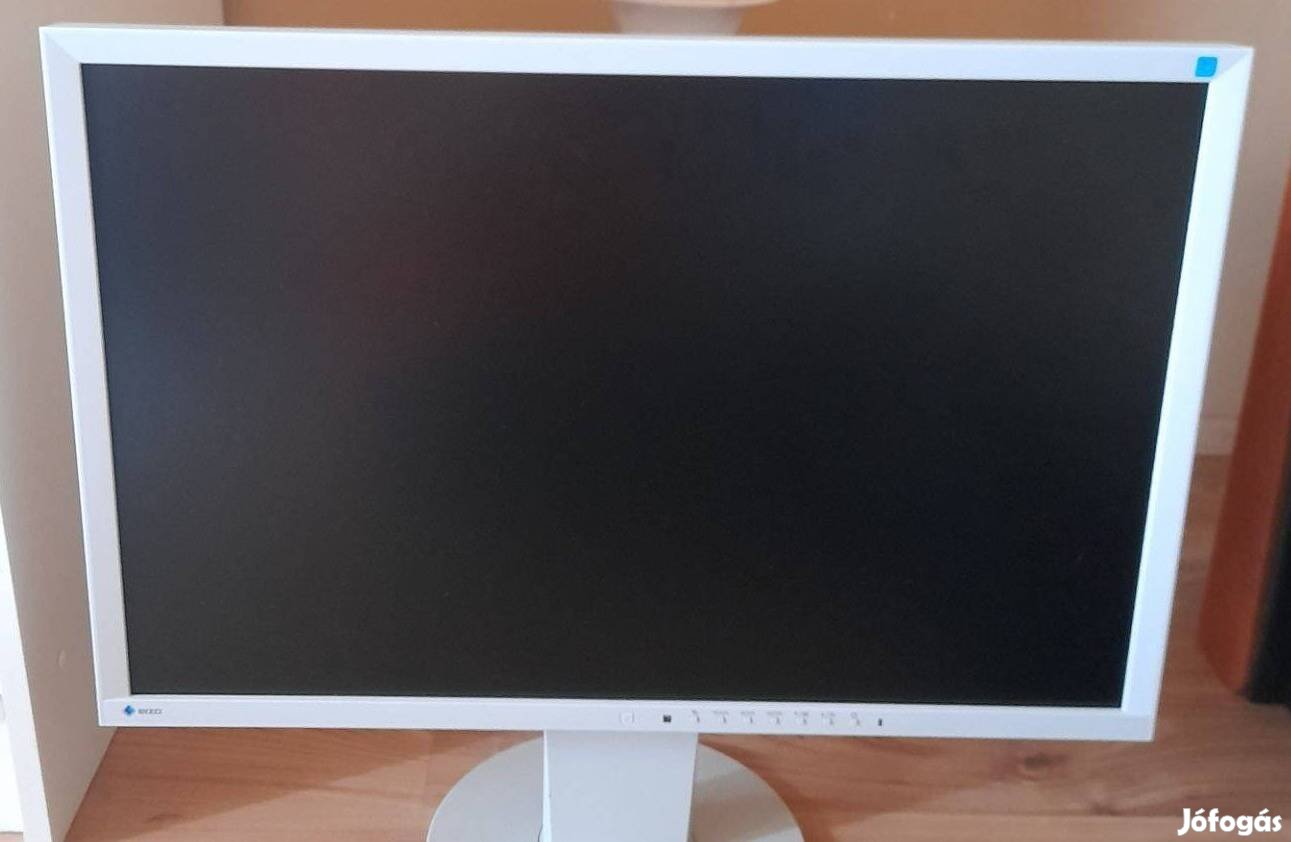 Eizo monitor 24"